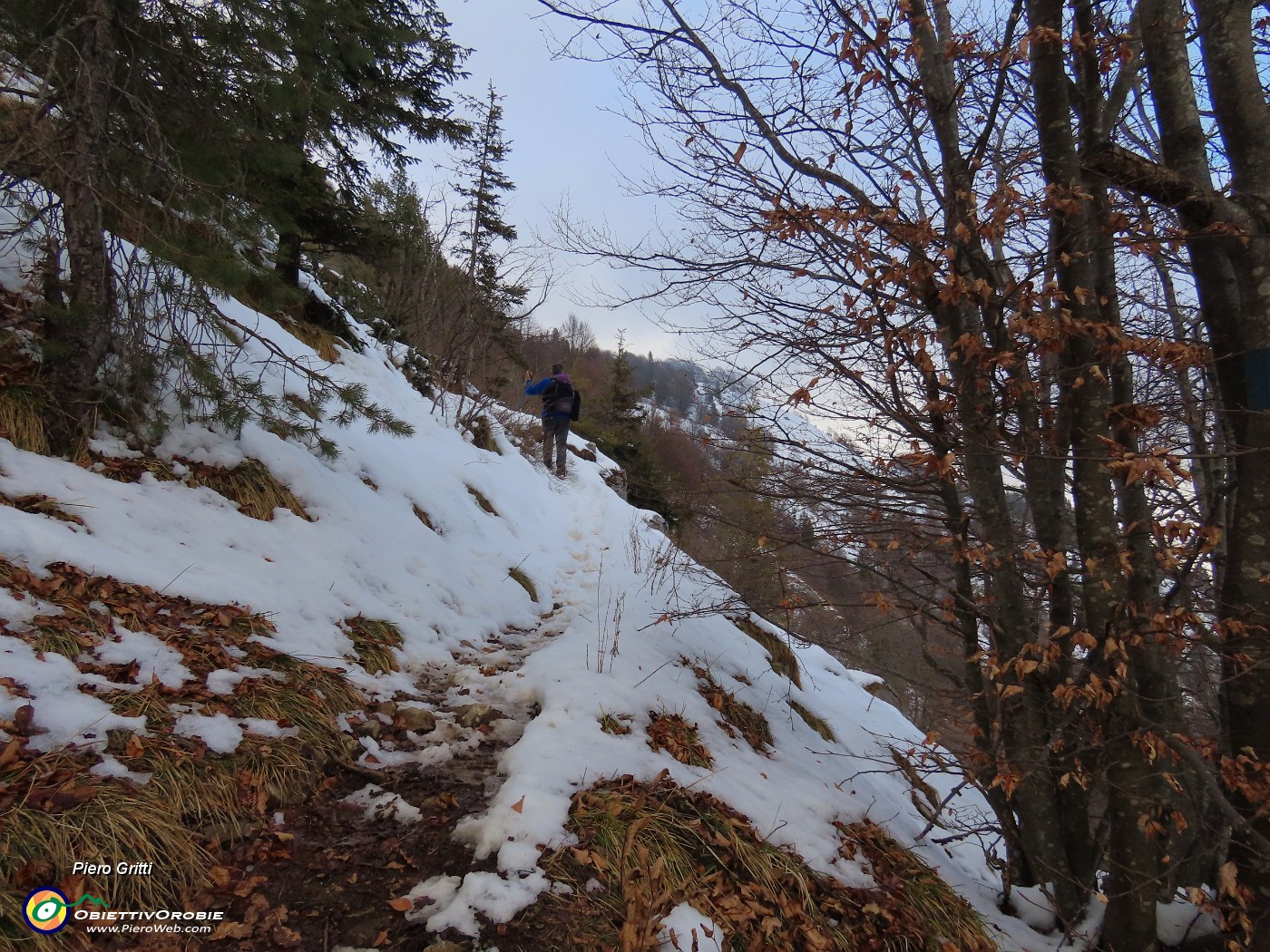 41 Il sent. 599A in decisa salita sul fianco destro boscoso del Vaccareggio.JPG